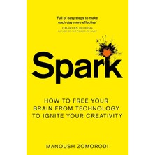 Pan Spark: How To Free Your Brain From Technology To Ignite Your Creativity