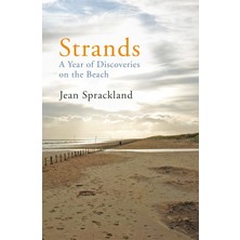 Vintage UK Strands: A Year Of Discoveries On The Beach