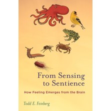 Mıt Press From Sensing To Sentience: How Feeling Emerges From The Brain