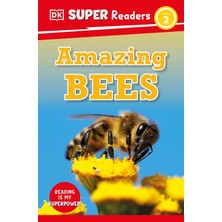 Dk Children Dk Super Readers Level 2 Amazing Bees
