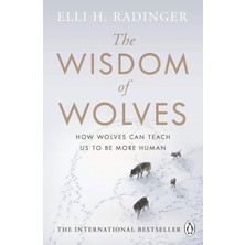Michael Joseph The Wisdom Of Wolves: Understand How Wolves Can Teach Us To Be More Human
