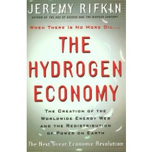 Polity Press Hydrogen Economy: The Creation Of The Worldwide Energy Web And The Redistribution Of Power On Earth