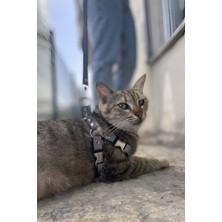 Marsilyan Karanlıkta Yansıyan Reflektörlü Kedi Harness , Özel Tasmalı Kedi Harness - NPC005