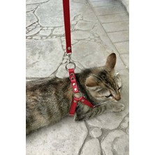 Marsilyan Deri Kedi Harness , Kedi Gezdirme Tasması - NPC005