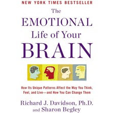 Avery The Emotional Life Of Your Brain: How Its Unique Patterns Affect The Way You Think, Feel, And Live--