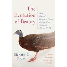 Vintage The Evolution Of Beauty: How Darwin's Forgotten Theory Of Mate Choice Shapes The Animal World - And