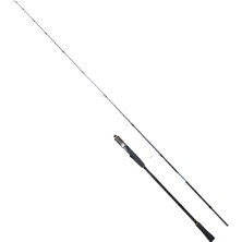 Ryuji Ocean Soul Fuji 1.80M 20-60GR 2p Slow Jig Kamış