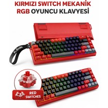 vooka Mini Rgb Gaming Mekanik Klavye 62 Tuş Red Switch USB Type-C Kablolu Kompakt Oyuncu Klavyesi Rgb Işıklı Gaming Klavye Laptop Pc Uyumlu Mini Mekanik Klavye Beyaz Gaming Keyboard