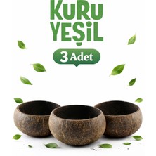 Kuru Yeşil Hindistan Cevizi Kasesi – 3 Adet - Rough – Jumbo - El Yapımı – Doğal – Salata ve Çerezlik – Mat