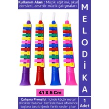 Wintoup Eğitici Çocuk Müzik Nota Öğrenimi Eğlenceli Üflemeli Tuşlu Çalgı Renkli Plastik Melodika 41 x 5 cm