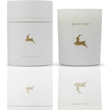 Muscent Apple Cinnamon Mum