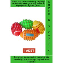 Wintoup Dayanıklı Evcil Hayvan Ilgi Çekici Sesli Renkli Masaj Etkili Dikenli Köpek Diş Kaşıma Oyun Topu