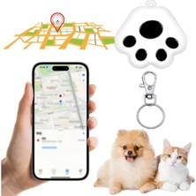 Wintoup Premium Kaybolma Önleme Evcil Hayvan Kedi Köpek Tasma Uyumlu Klips Mobil Uygulamalı Gps Takip Cihazı