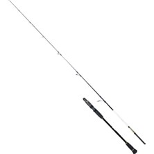 Ryuji Ocean Soul Fuji 1.83M 80-300GR 2p Slow Jig Kamış