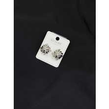 Luxury Gümüş Renk Küpe