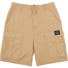 Dc Erkek Walkshort Tundra Cargo