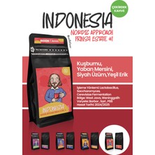 Indonesia - Frınsa Estate Nordic Approach #1