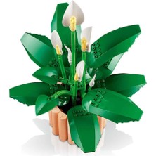 11504 Botanicals Barış Çiçeği - Pace Lily 474 Parça +18 Yaş