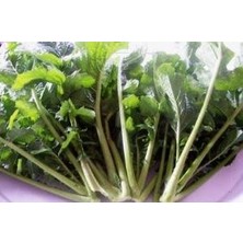 Doğal Hardal Otu TOHUMU(100 Tohum)