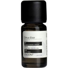 Iscent Citrus Elixir, Narenciye-Aromatik Lüks Koku Yağı 10 ml