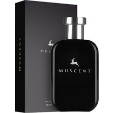Muscent M180 Born Rome Men