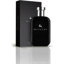 Muscent M179 Beau Paradise 50 ml EDP Erkek Parfümü Hindistan Cevizi ve Yeşil Notalarla