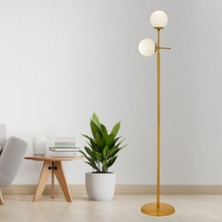 Normadia Modern Beyaz Camlı Gold Oturma Odası Lambader, Şık Tasarım