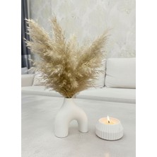 Nova Deco Iskandinav Tarzı Bohem Vazo 10 cm Hediyelik Pinterest Pampas Vazosu Set Vazo Dekoratif Eşya