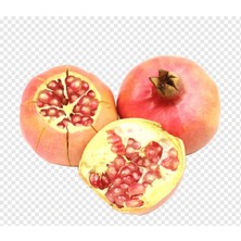 Ases 5 Yaş Saksıda Meyve Veren Tatlı (Şeker) Nar Fidanı Boy 150-200 cm