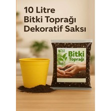 Saksı Değişim Seti - 10 Litre Böcek Sinek Yapmayan Organik  Çiçek Toprağı + 9,5 Litre Dekoratif Saksı