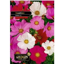 Goldgen Pro Seed Goldgen Kozmoz Çiçeği Tohumu