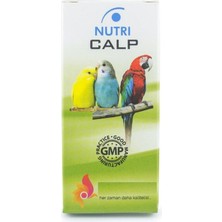 EkoAlışverişDünyam Güvercin Gaga - Yumurta - Kemik Sağlamlaştırıcı - Nutri Calp Kalsiyum