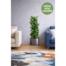 Toyfest Bitki Tasarımlı Duvar Sticker 90X30 cm – Saksılı Yeşil Yapraklı Dekoratif Duvar Süsü