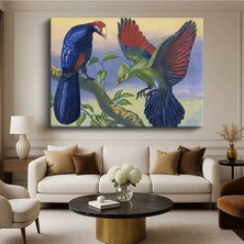 Limitless Design John Gould Egzotik Kuşlar Doğa Resmi Kanvas Tablo Sanat Tablosu Klasik Ressam Tablosu