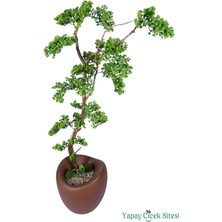 Yapay Çiçek Sitesi Fiber Saksıda Doğal Gövdeli Bonsai Yapay Ağaç 170 cm