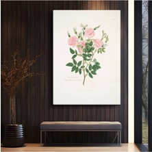 Limitless Design Pierre-Joseph Redouté Pembe Güller Botanik Sanatı Kanvas Tablo Klasik Ressam Tablosu