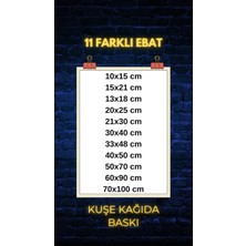 Fuart.Co Kraliçe Ayı Dijital Baskı Çocuk Odası Posteri (Çerçevesiz)