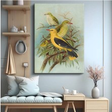 Limitless Design F.k. Sarı Kuşlar Üçlü Kompozisyon Kanvas Tablo Sanat Tablosu Klasik Ressam Tablosu