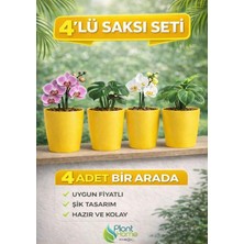 Dekoratif Sarı Orkide Saksısı - 4 Adet Set Fiyatlı - 12 Pot Üretim Saksısına Uygun Kaliteli Ürün