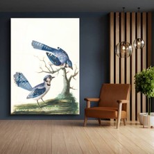Limitless Design John James Audubon Mavi Alakarga Kuşları Cam Tablo Dijital Baskı Duvar Tablosu Dekor Tablo