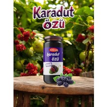 Mey İthalat Karadut Özü 300GR