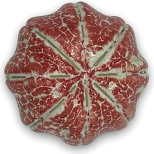 Haangarden Seramik Kaktüs