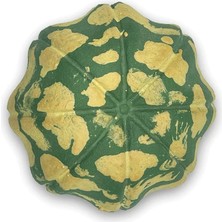 Haangarden Seramik Kaktüs