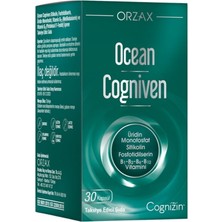 Ocean Cogniven Içeren Takviye Edici Gıda 30 Kapsül - Dezenfektan Hediyeli (%72 Alkol)