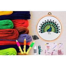 Popüler Sepet Punch Seti Nakış Seti Kasnaklı Kendin Yap Seti Seri 14