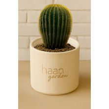 Haangarden Ubelmania