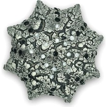 Haangarden Seramik Kaktüs