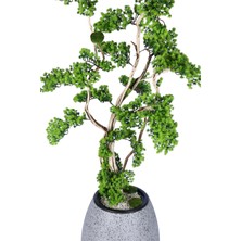 Yapay Çiçek Sitesi Fiber Saksıda Doğal Gövdeli Bonsai Yapay Ağaç 190 cm