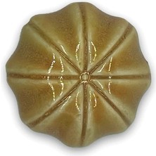 Haangarden Seramik Kaktüs