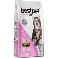 Üreticiniz Bestpet Tavuklu Yavru Kedi Maması 15 kg 481348